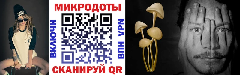 Псилоцибиновые грибы Magic Shrooms  Купить закладки  Гороховец 